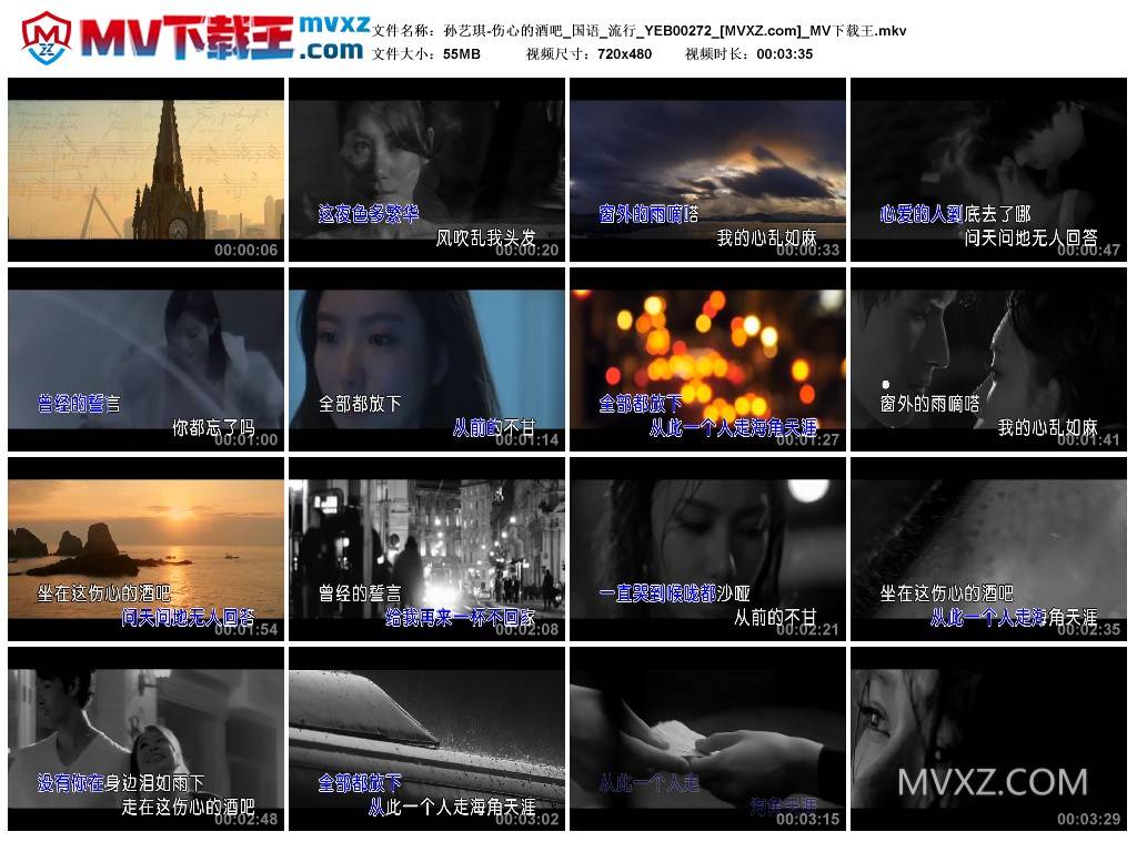 孙艺琪-伤心的酒吧_国语_流行_YEB00272